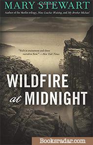 Wildfire at Midnight