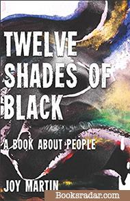 Twelve Shades of Black: 12 essays on the black experience during apartheid
