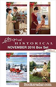 Harlequin Love Inspired Historical November 2016 Box Set