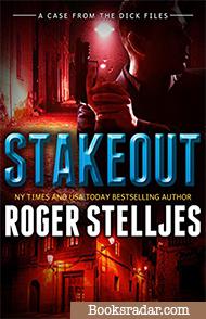 Stakeout: A McRyan Mystery Novella 