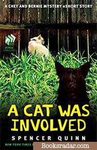 A Cat Was Involved: A Chet and Bernie Mystery Novella