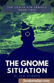 The Gnome Situation