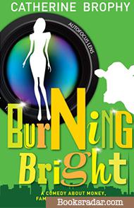 Burning Bright: A Comedy about Money, Fame and the Celtic Tiger