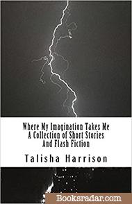 Where My Imagination Takes Me A Collection of Short Stories And Flash Fiction