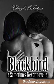 Blackbird: A Sometimes Never Novella