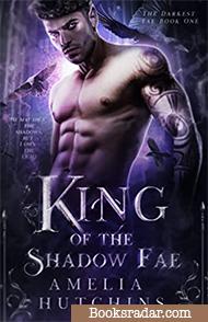 King of the Shadow Fae