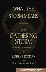 What the Storm Means: Novella